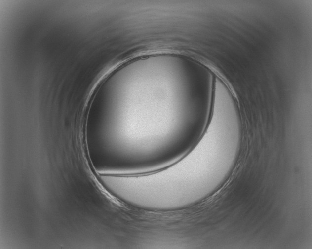 X0000058101197200509230746