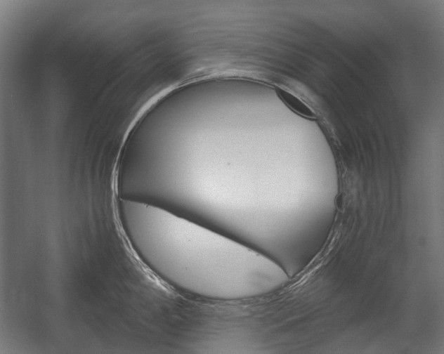 X0000058101198200509230746