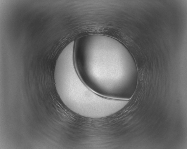X0000058101202200509230745
