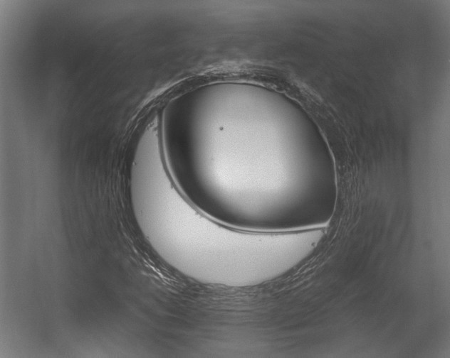 X0000058101206200509230745