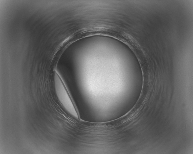 X0000058101210200509230745