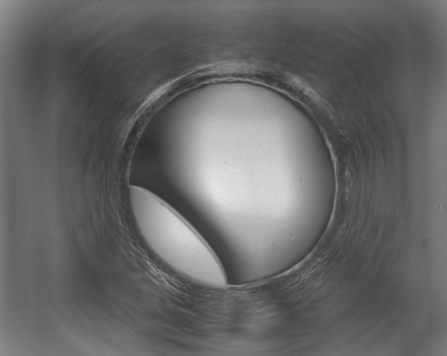 X0000058101213200509230745