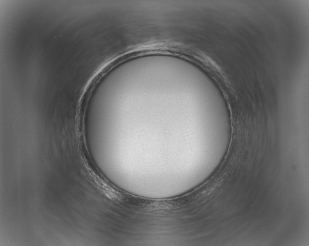 X0000058101216200509230745