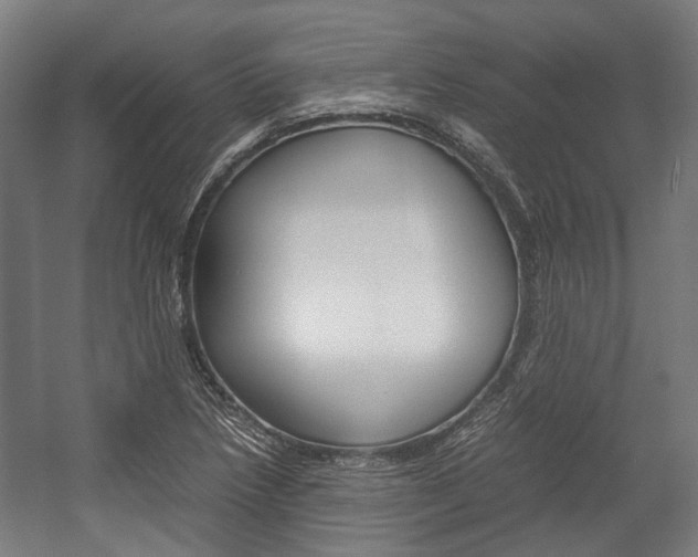 X0000058101218200509230745