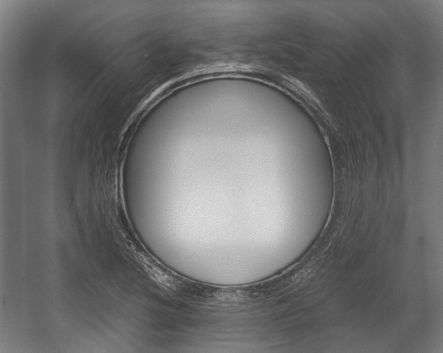 X0000058101220200509230745