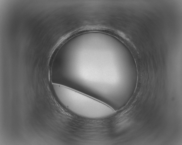 X0000058101221200509230745