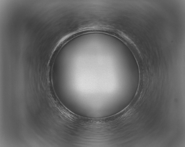 X0000058101222200509230745
