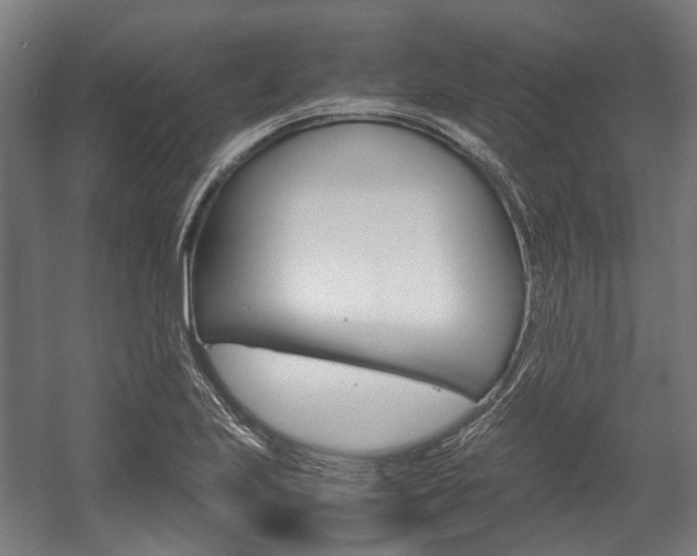 X0000058101223200509230745