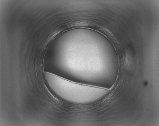 X0000058101225200509230745