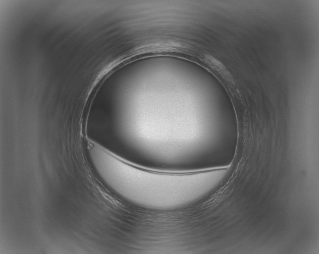 X0000058101226200509230745