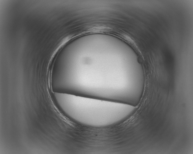 X0000058101227200509230745