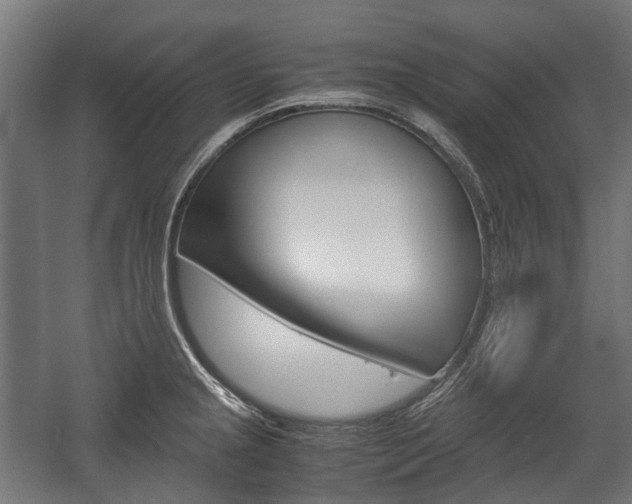X0000058101237200509230745