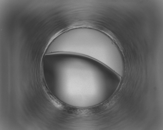 X0000058101242200509230746