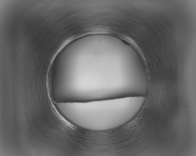 X0000058101243200509230746