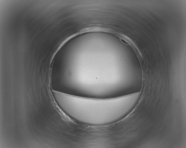 X0000058101244200509230746