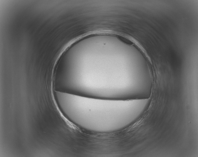 X0000058101245200509230746