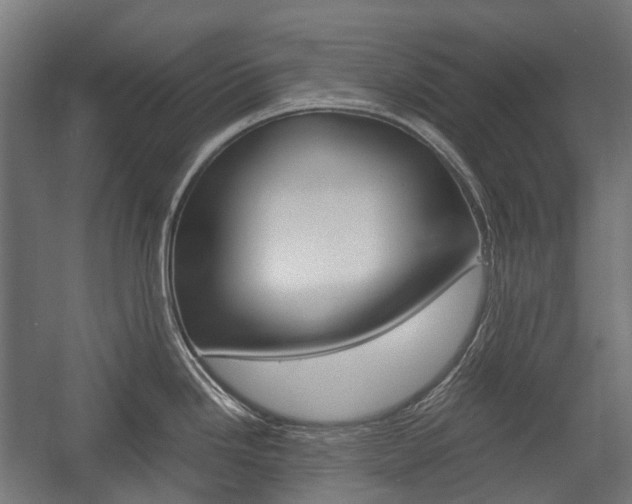 X0000058101246200509230746