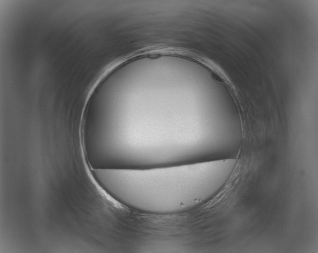 X0000058101247200509230746