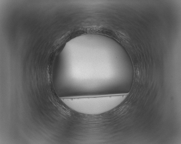 X0000058101252200509230745
