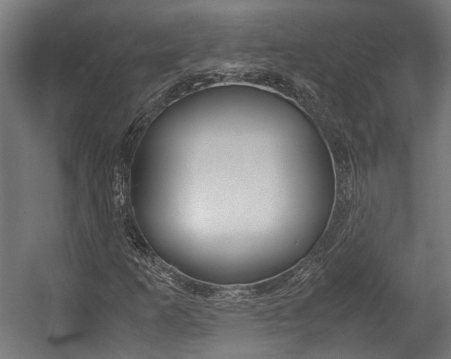 X0000058101253200509230745