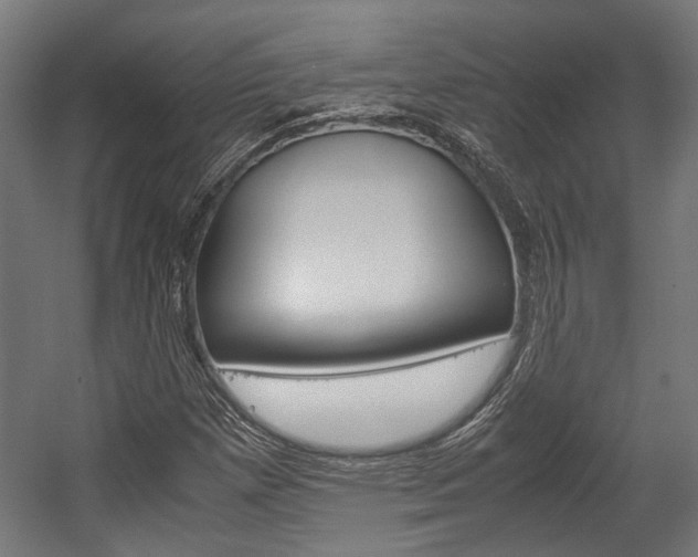 X0000058101257200509230745
