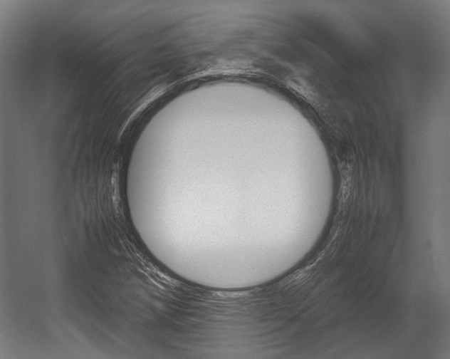 X0000058101258200509230745