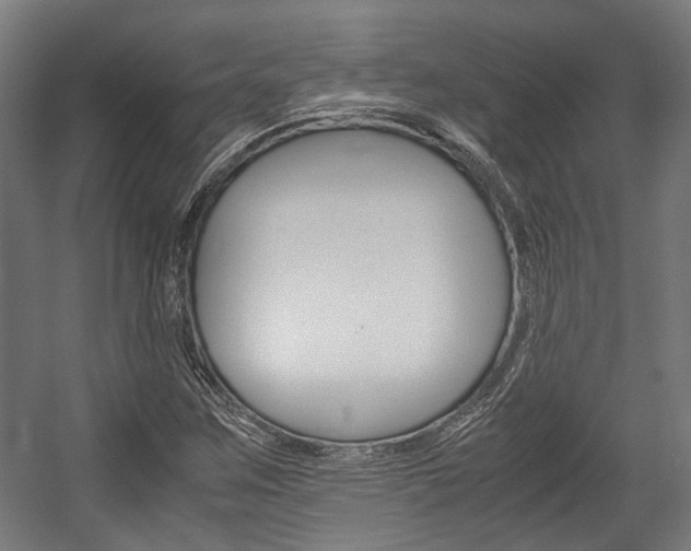 X0000058101259200509230745