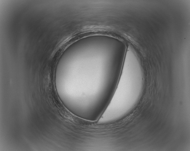 X0000058101261200509230745
