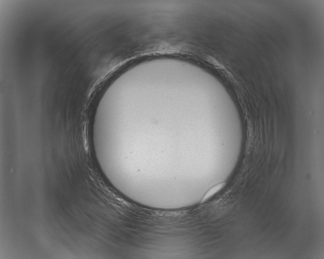 X0000058101262200509230745