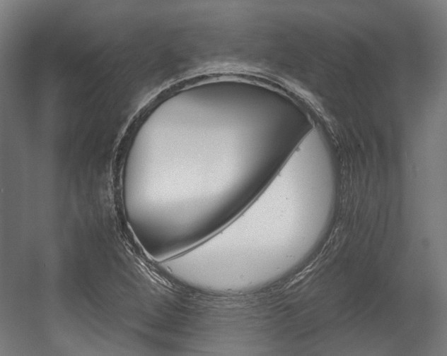 X0000058101264200509230745