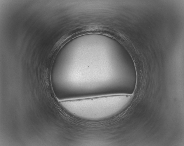 X0000058101265200509230745