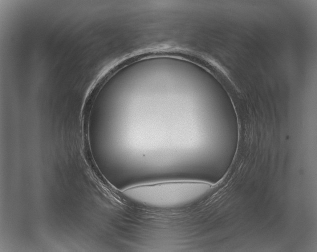 X0000058101270200509230744