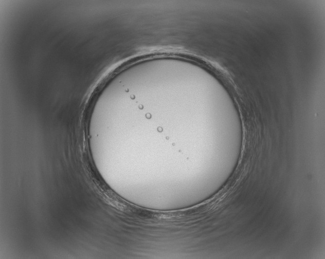 X0000058101271200509230744