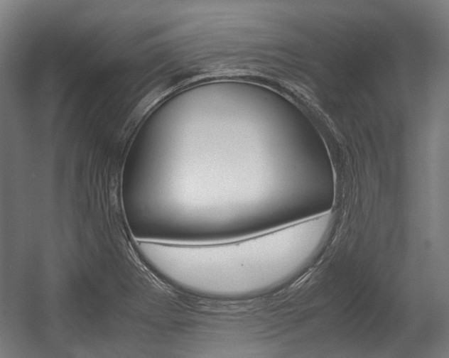 X0000058101273200509230744
