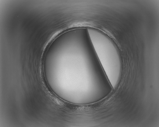 X0000058101277200509230744
