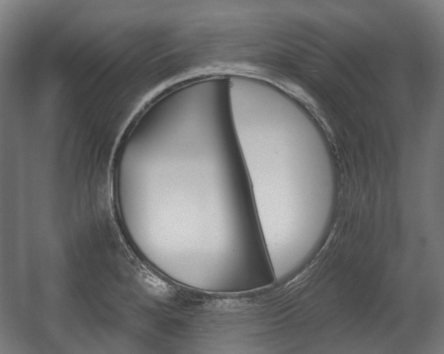 X0000058101280200509230744