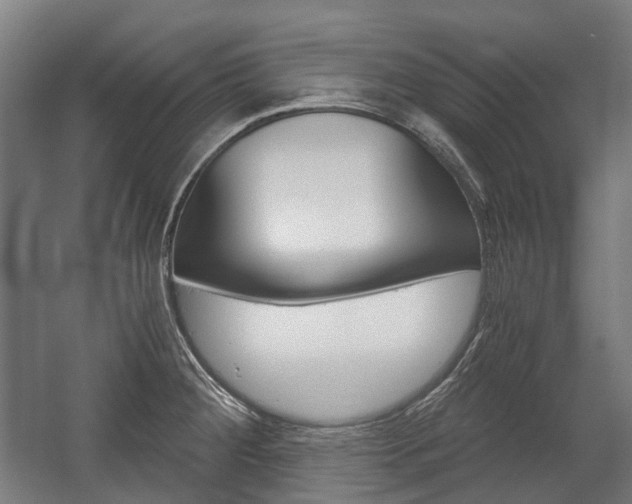 X0000058101284200509230744