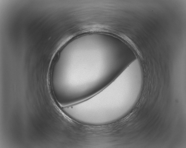 X0000058101285200509230744