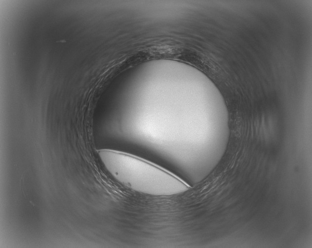 X0000058101297200509230743
