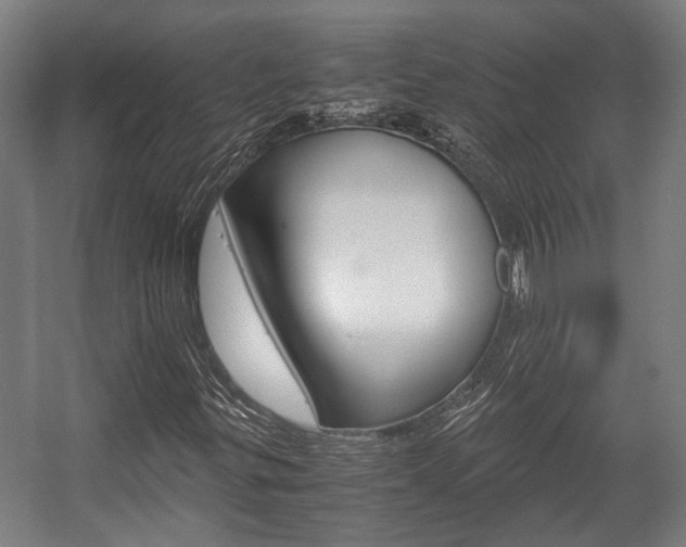 X0000058101299200509230743