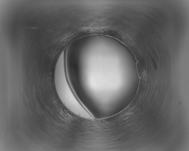 X0000058101300200509230743