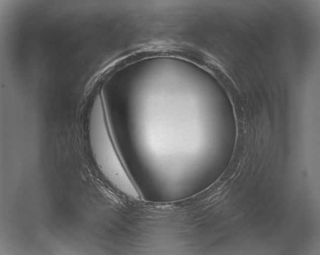 X0000058101304200509230743