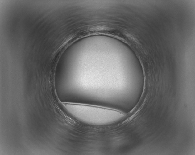X0000058101305200509230743