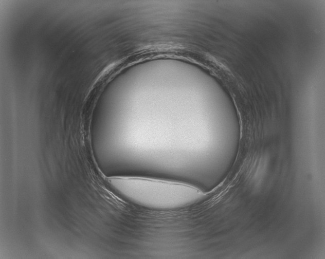 X0000058101306200509230743