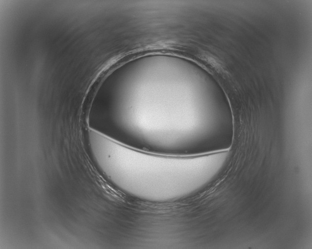 X0000058101308200509230743
