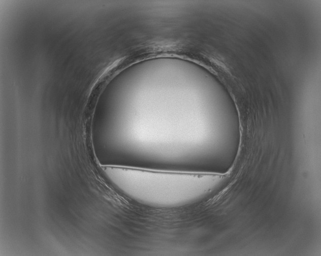 X0000058101309200509230743