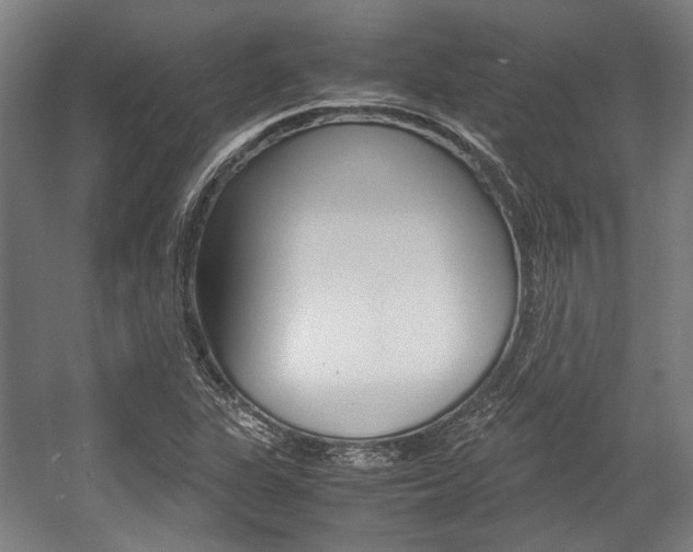 X0000058101311200509230743