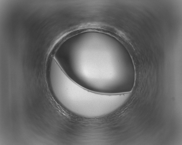 X0000058101312200509230743