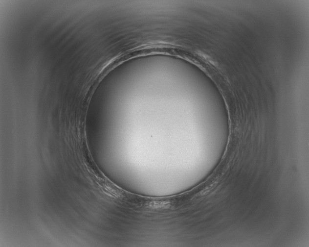 X0000058101313200509230744