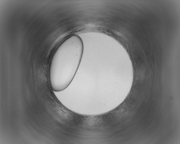 X0000058101314200509230744